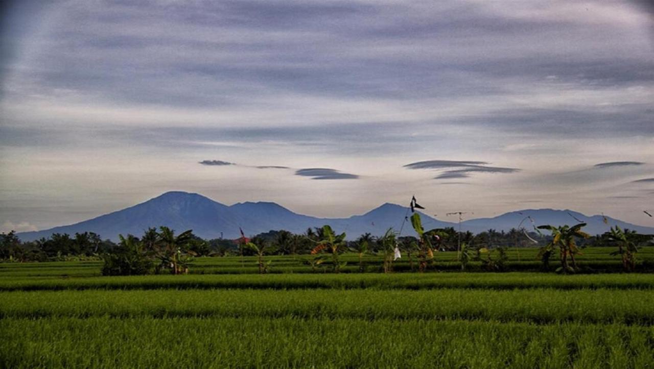 Pnb Bali Canggu